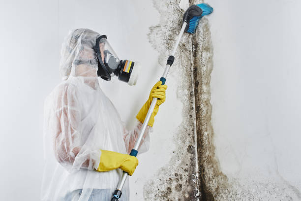 Sewage cleanup and water damage restoration in Luck, WI